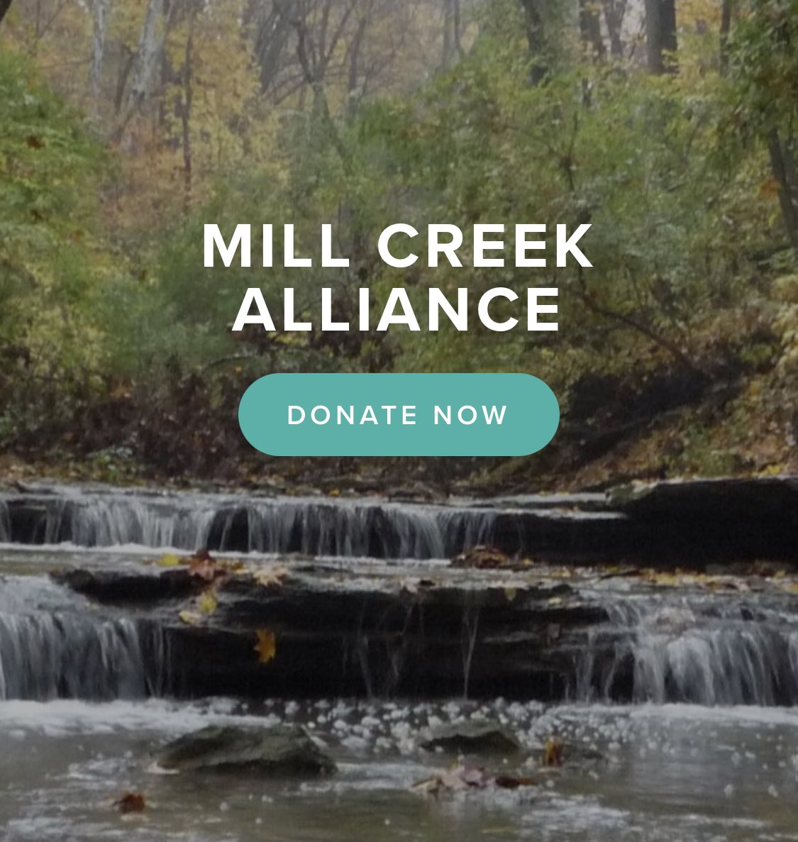 Jenny Wohlfarth tweet media