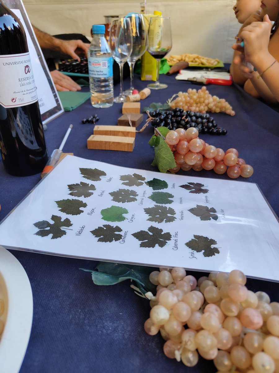 El grup de Vitivinicultura intentaran que endevinem diferents aromes i gustos.