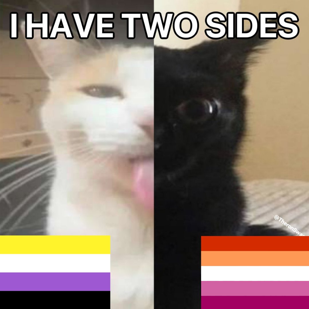 nonbinary lesbian positivity 💫 (@enbylesbians) on Twitter photo 