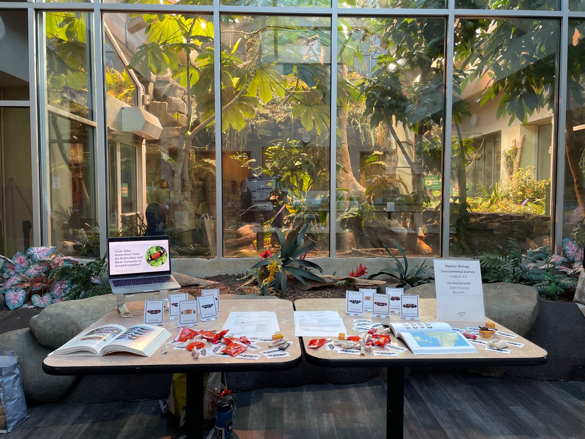 Had so much fun presenting a lesson plan I wrote for middle school students about mimicry in #Heliconius last night during @SciREN_Triangle’s educator event at @NaturalSciences !! Right in front of the butterfly house 🦋