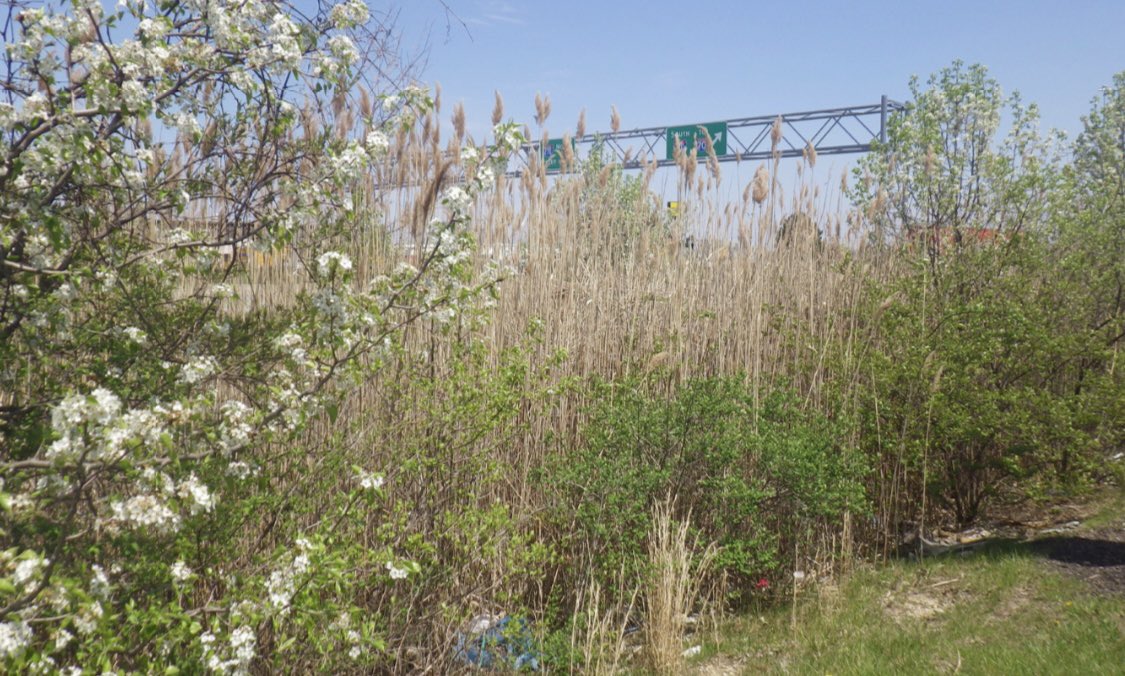 Franklin SWCD tweet media