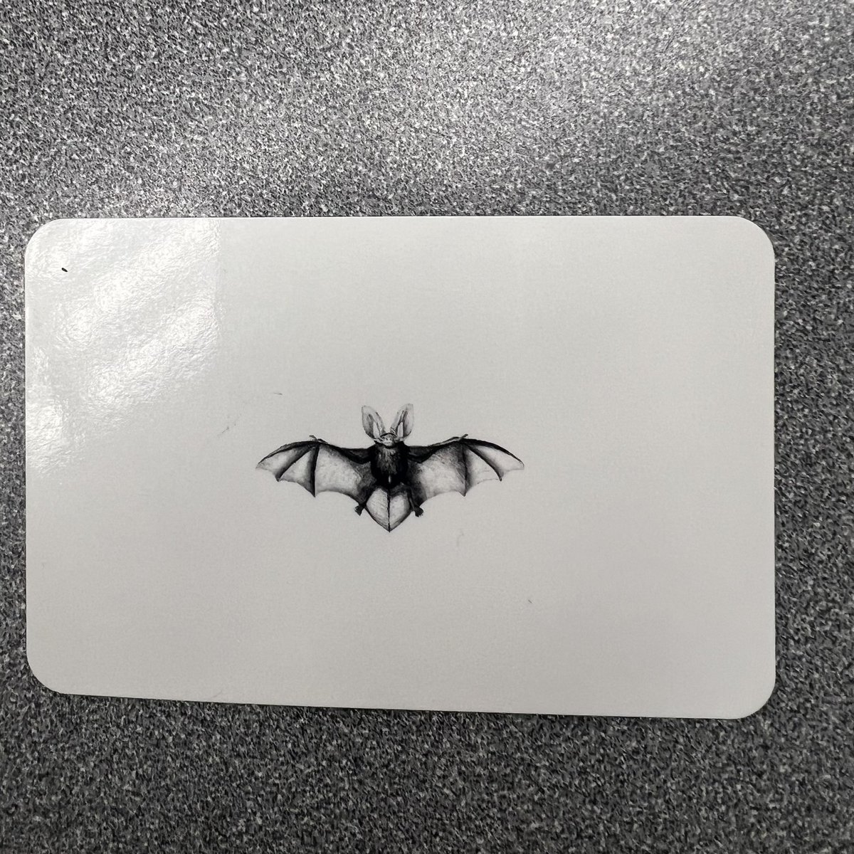 Our grad student Kelly is officially certified! If you work with bat brains, please reach out to her for PhD opportunities 🦇🤓