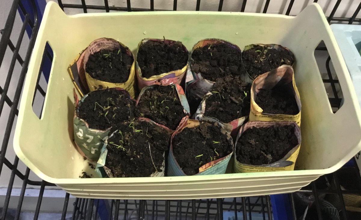 Castlepark Primary School tweet media