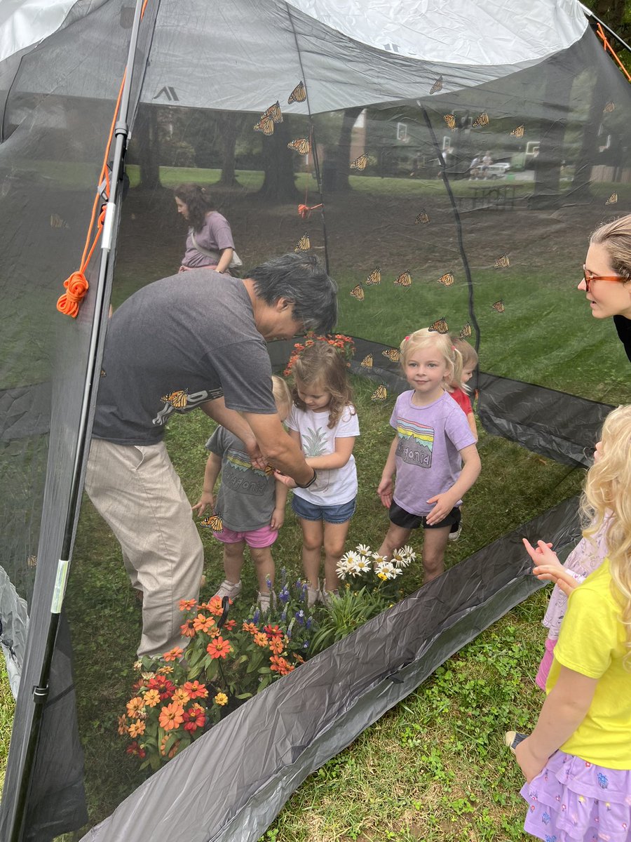 JessOnCHTC's tweet photo. Get yourself over to #communitycenterpark @chapelhillgov to see the butterflies! 🦋🦋🦋 now until 4:30 release! #completecommunity https://t.co/auarNA5sTE