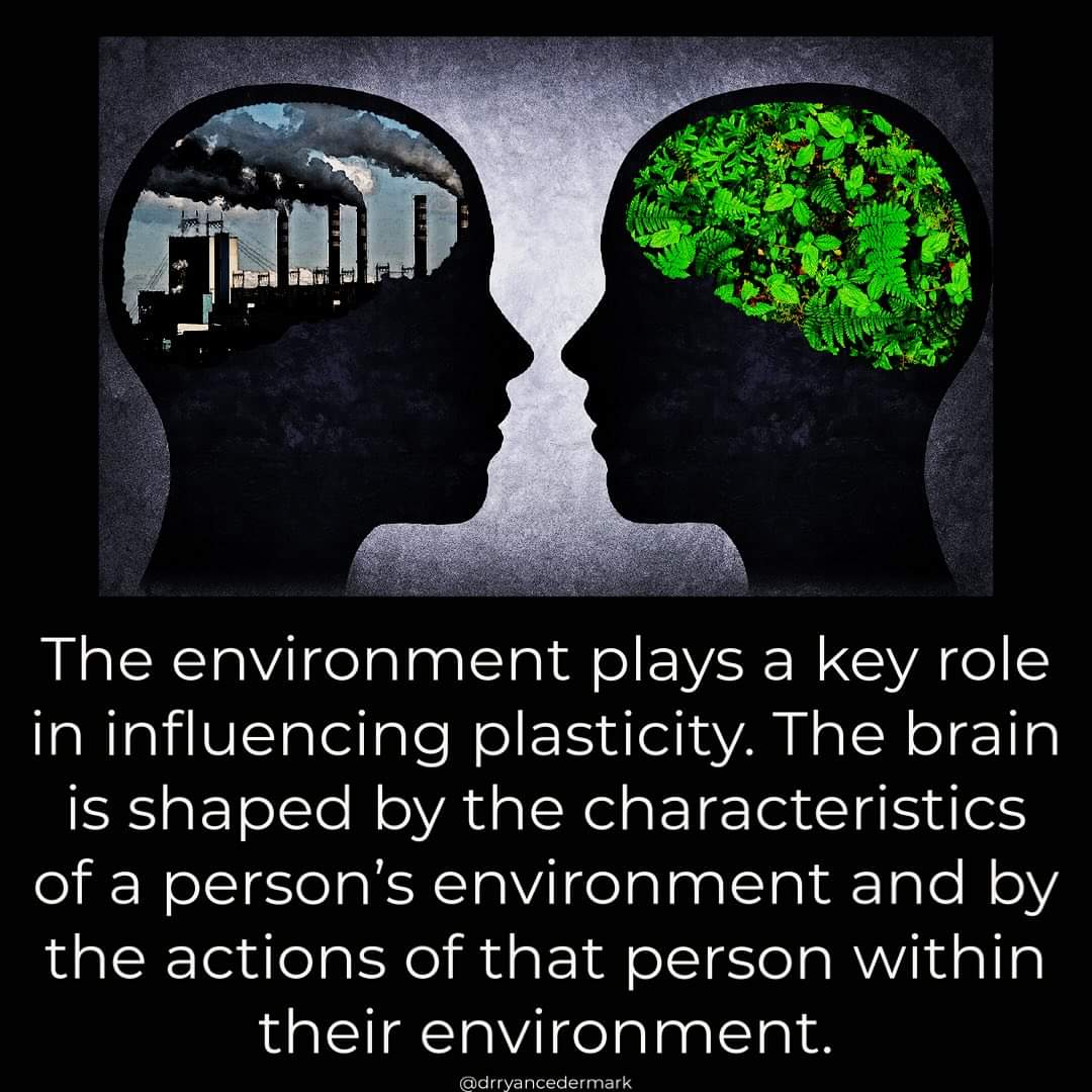 gerrydiamond71's tweet photo. A parents unconscious becomes a child's first reality.🧠🌱 https://t.co/t4xRSUP0bC