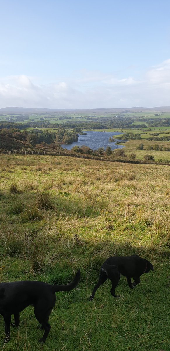 I'm truly blessed in life. From where I live to the friends I make along the way

On a very interesting journey 
The $XRP <a href="/HPOP8I/">HarryPotterObamaPacMan8Inu</a> way. What journey are you on today?