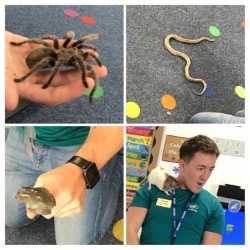 NOrchardpa's tweet photo. What a fabulous experience we have had today, Zoo Lab was amazing! We loved finding out about the animals and experiencing touching and holding some! ππͺ³πππ·οΈ#ScienceatOrchard #SMSCatOrchard
@OrchardPrimaryA
@TeamPastoral
What a fantastic end to our busy weekπ΄ https://t.co/UtHSh7fD68