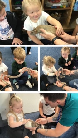 NOrchardpa's tweet photo. What a fabulous experience we have had today, Zoo Lab was amazing! We loved finding out about the animals and experiencing touching and holding some! ππͺ³πππ·οΈ#ScienceatOrchard #SMSCatOrchard
@OrchardPrimaryA
@TeamPastoral
What a fantastic end to our busy weekπ΄ https://t.co/UtHSh7fD68