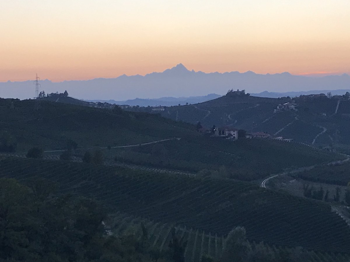 Peter Bamford tweet media