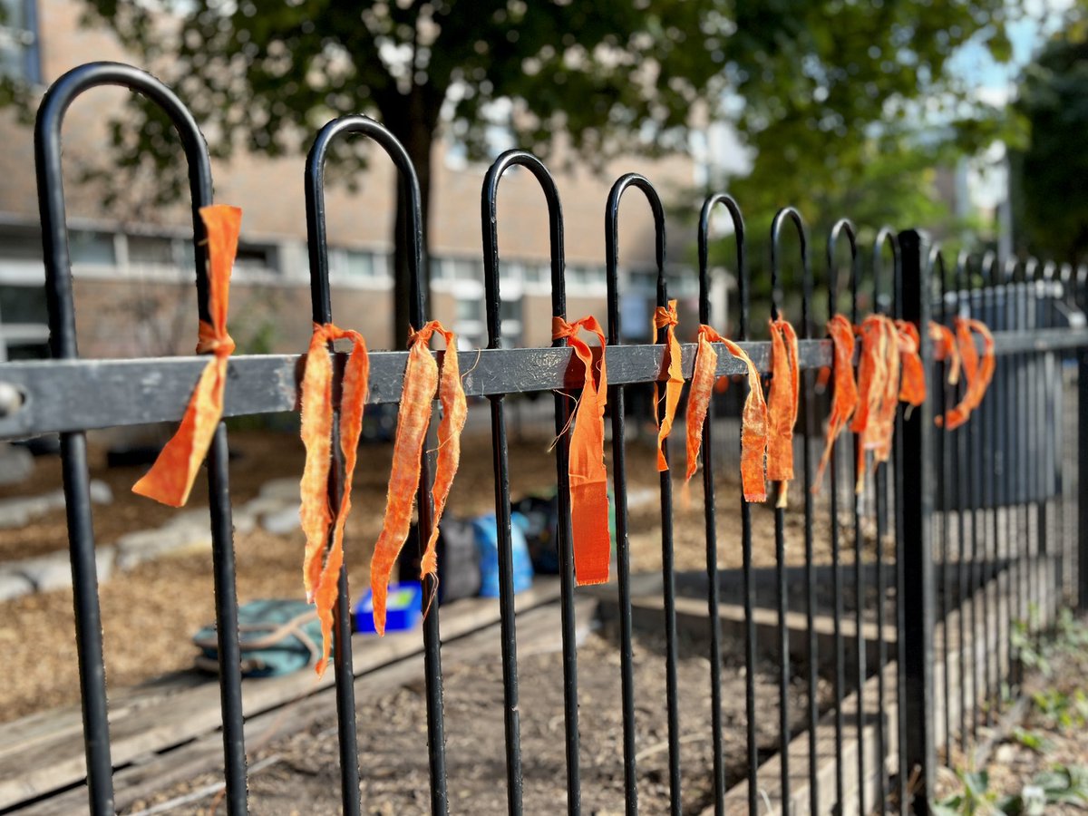 Toronto District School Board tweet media