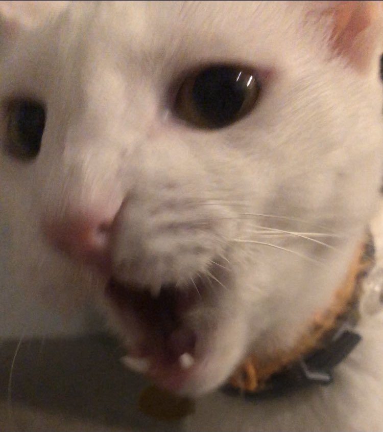 IF YOU AINT GOT NO MONEY TAKE YOUR BROKE ASS HOME