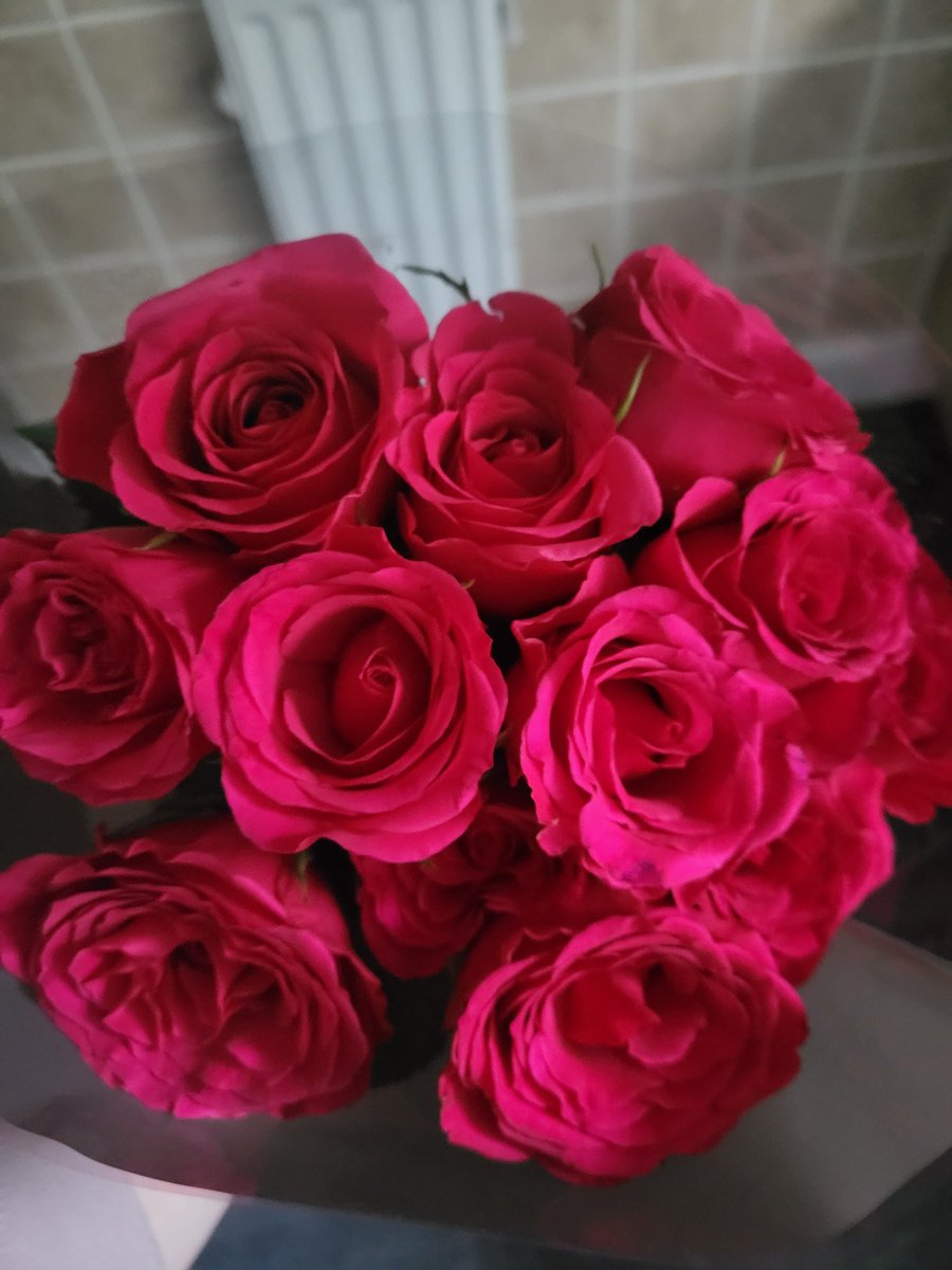 Claire McAuley (@clairemcauley3) on Twitter photo I have THE best staff <a href="/OTgateshead/">Occupational Therapy QE</a>. Thank you Lauren, you have made my day. You'll be huge miss <a href="/QEGatesheadAHPs/">QE Gateshead AHPs</a> <a href="/Gateshead_NHS/">Gateshead Health NHS Foundation Trust</a> I have THE best staff <a href="/OTgateshead/">Occupational Therapy QE</a>. Thank you Lauren, you have made my day. You'll be huge miss <a href="/QEGatesheadAHPs/">QE Gateshead AHPs</a> <a href="/Gateshead_NHS/">Gateshead Health NHS Foundation Trust</a>