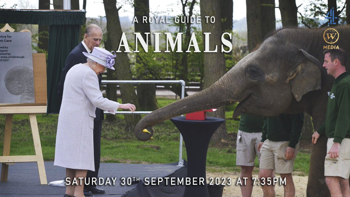 Don't miss our next episode in A Royal Guide To.. series Saturday 30th Sept 7.35 pm on @Channel4 as Corgis,Swans, Elephants, Ravens, Horses.. take centre stage.