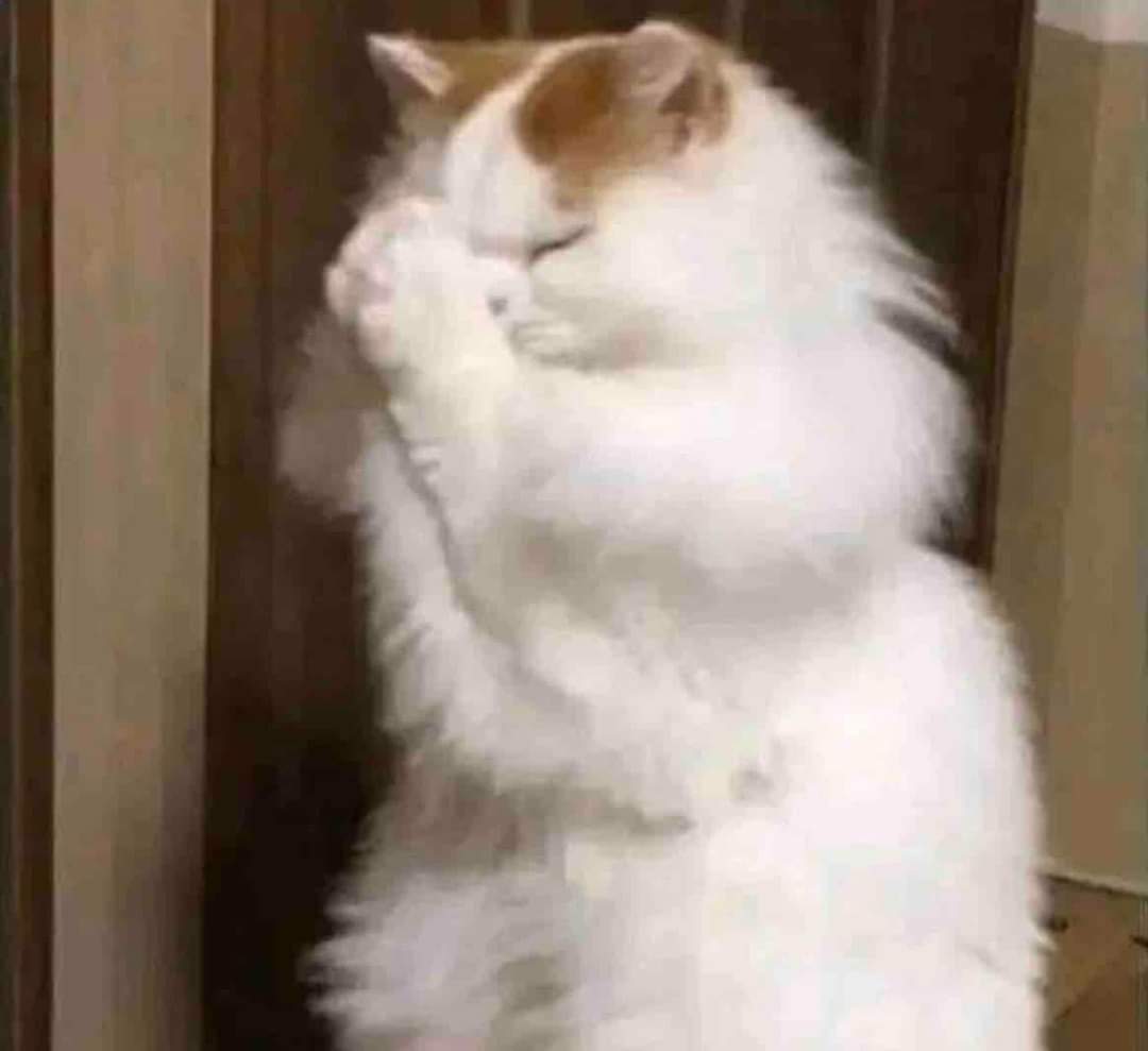 Yo, manifestando money, dinero, plata, biyuyo, dólares: