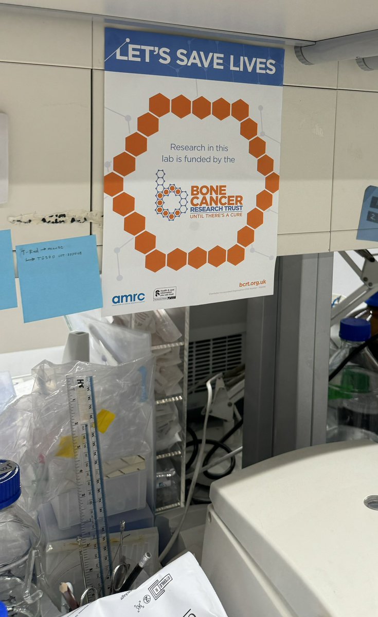 will_burchell's tweet image. A fascinating afternoon with Professor Sibylle Mittnacht @uclcancer learning more about her team’s @BCRT funded research. #untiltheresacure