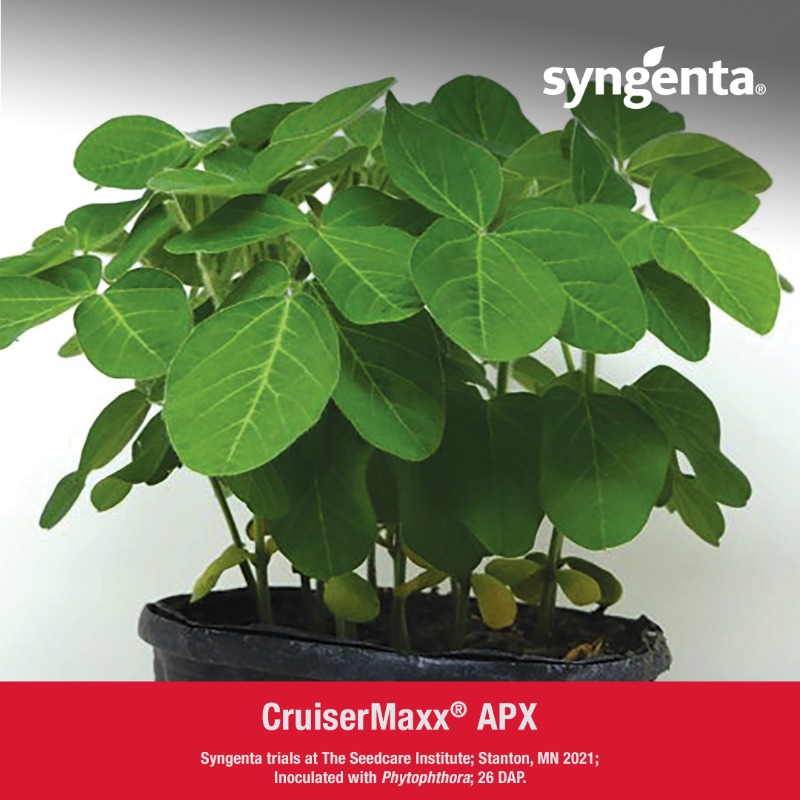 SyngentaUS's tweet photo. Tired of stand loss from diseases like Phytophthora? See how CruiserMaxx APX can supercharge your soybean protection, from day one.⚡