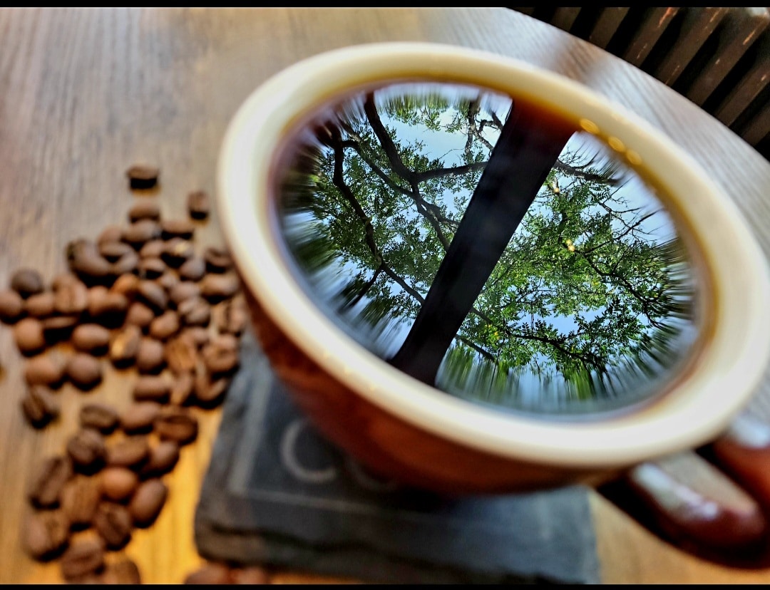 It's National Coffee Day! 

Stop by and enjoy your favorite coffee drink and enter to win a pound of our coffee beans! 

International Coffee Day is October 1st, so we'll draw a winner next week. 

#workownedcoop #communityownedcoop #hybridcoop #coffeehouse #nationalcoffeeday