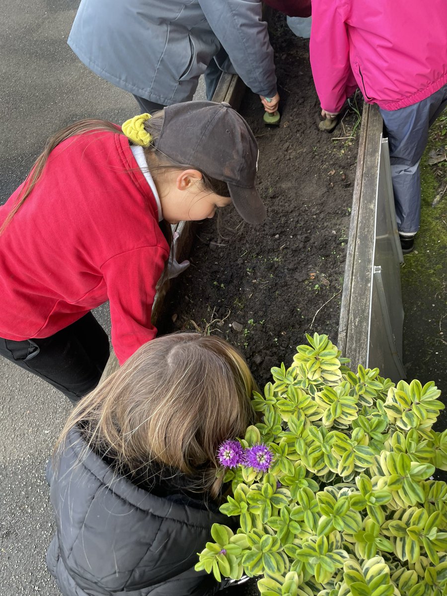 Mrs Knowles tweet media