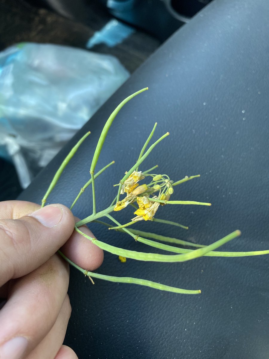 Alexis Gonzalez tweet media