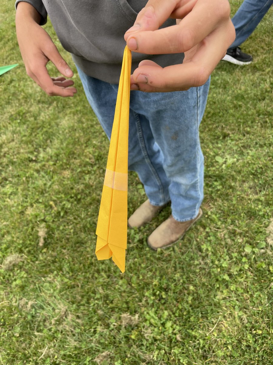 Maya Amico tweet media