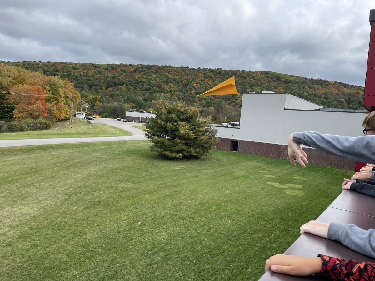 Maya Amico tweet media