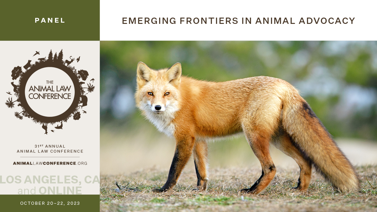 This panel of academics, advocates, and attorneys will survey the current landscape and point to some emerging frontiers in animal advocacy today that can lead to brighter horizons for animals tomorrow.  Read about the full panel here: animallawconference.org/2023-agenda/