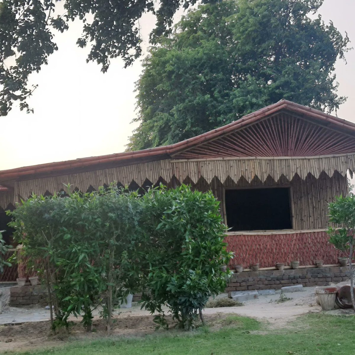 FarmsShifa's tweet photo. Unveiling our Bamboo House at Shifa Farms 🌾. A blend of sustainability and tradition, crafted with care. Eager for everyone to experience this eco-friendly retreat. #ShifaFarms #SustainableLiving #BambooHouse https://t.co/V9Fyrlapuz