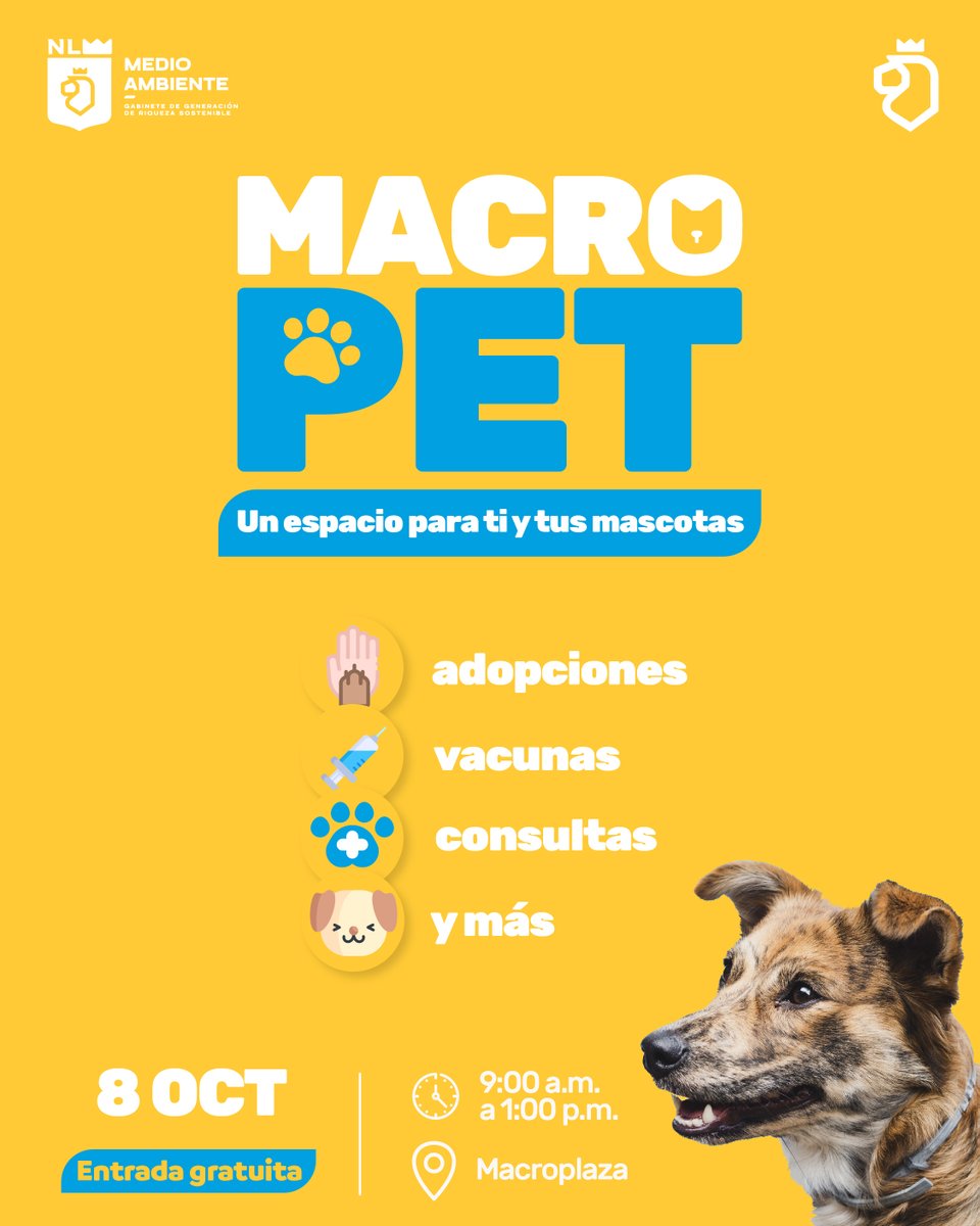 nuevoleon's tweet photo. #MacroPet es una fiesta para ti y tu mascota. 🐱🐶 Este domingo 8 de octubre, te esperamos en la Macroplaza a partir de las 9am hasta la 1pm ¡LA ENTRADA ES GRATUITA! ✨ https://t.co/Kon6fCKQGc