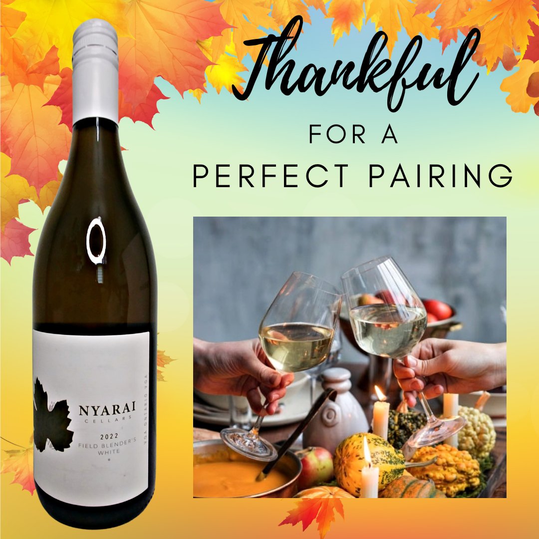🥰When it comes to the best wine for Thanksgiving dinner, nothing beats a glass of a dry fruit forward white!
#wine #winewinewine #myNyarai #virtualwinery #wineaddict #winelover #winecountryON #VQAwine  #winelover #winebottle #whitewine #Thanksgivingwine