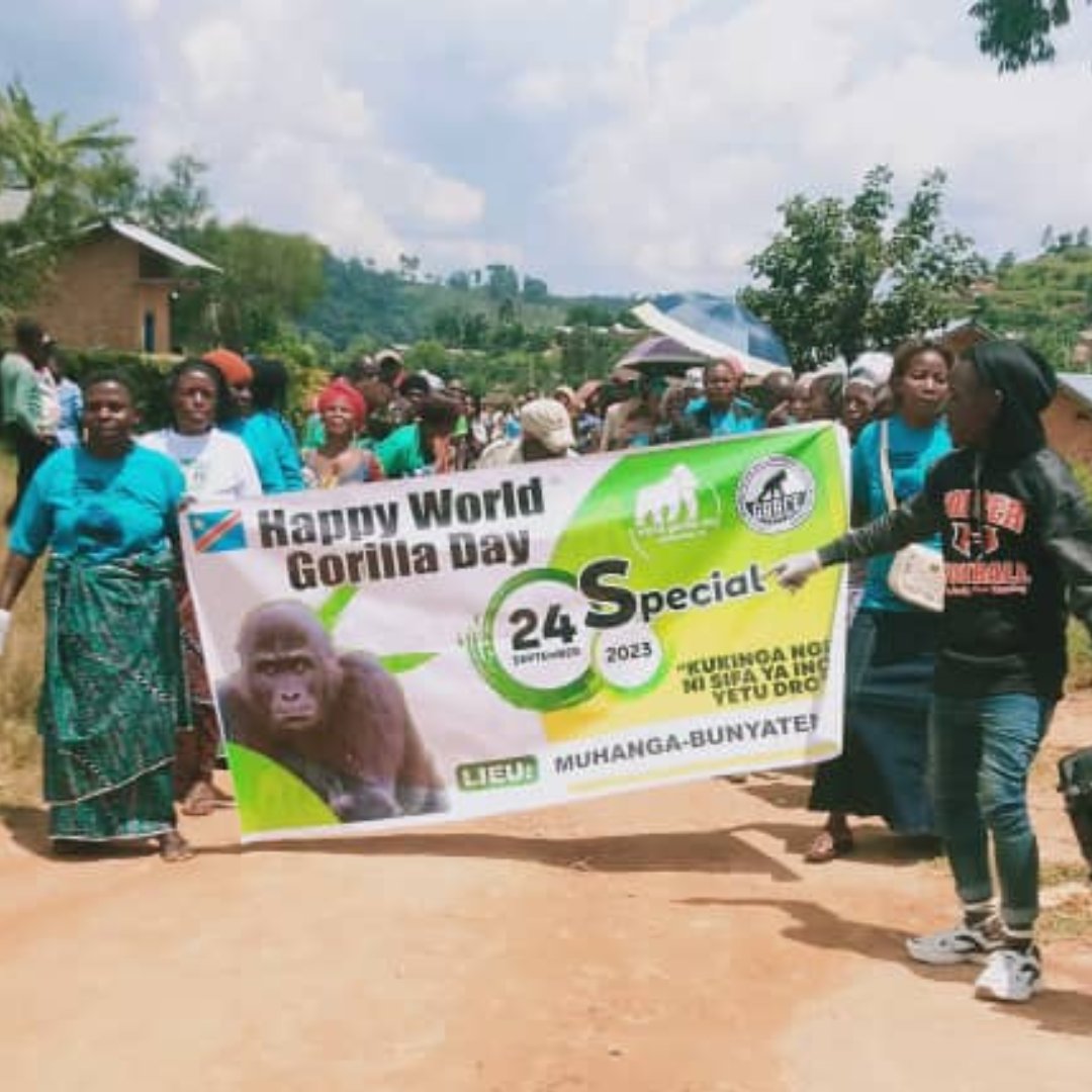 GRACE Gorillas tweet media