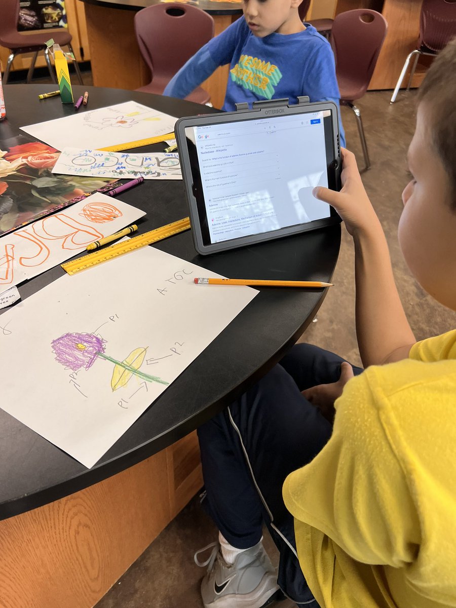 misscastello1's tweet photo. Cycle 3 in STEAM was filled with core sampling in 4th and creating plant offspring with different traits in 3rd. Some learners challenged themselves and tried writing genetic code! DL planted radish seeds. #mineolaproud #steamrocks @Jackson_Ave @MineolaUFSD https://t.co/dp4aEKhxlu
