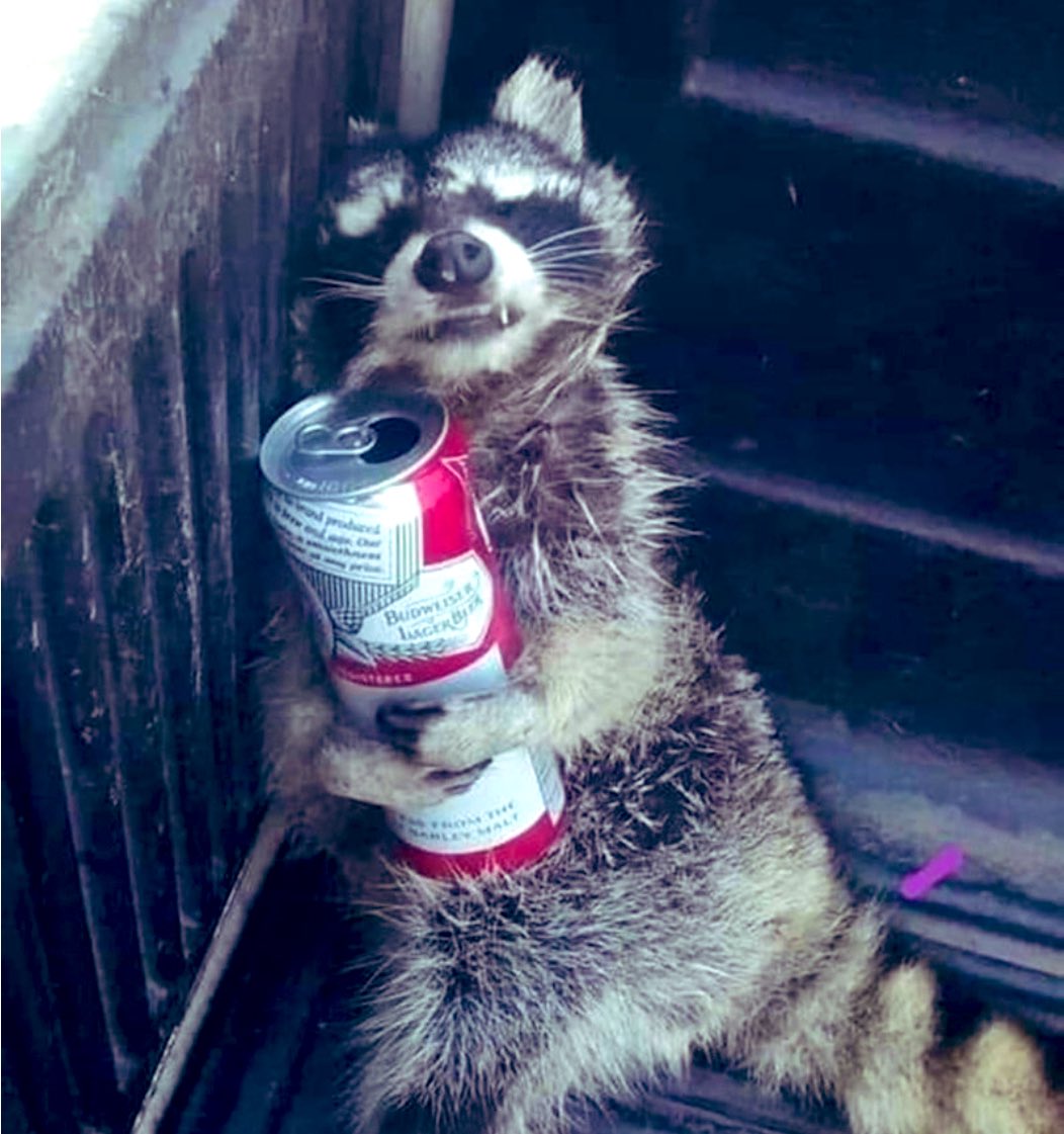 ⚡️GM FUTURE WEALTHY FUCKERS ⚡️
#crypto #VOLT #bulrun2024