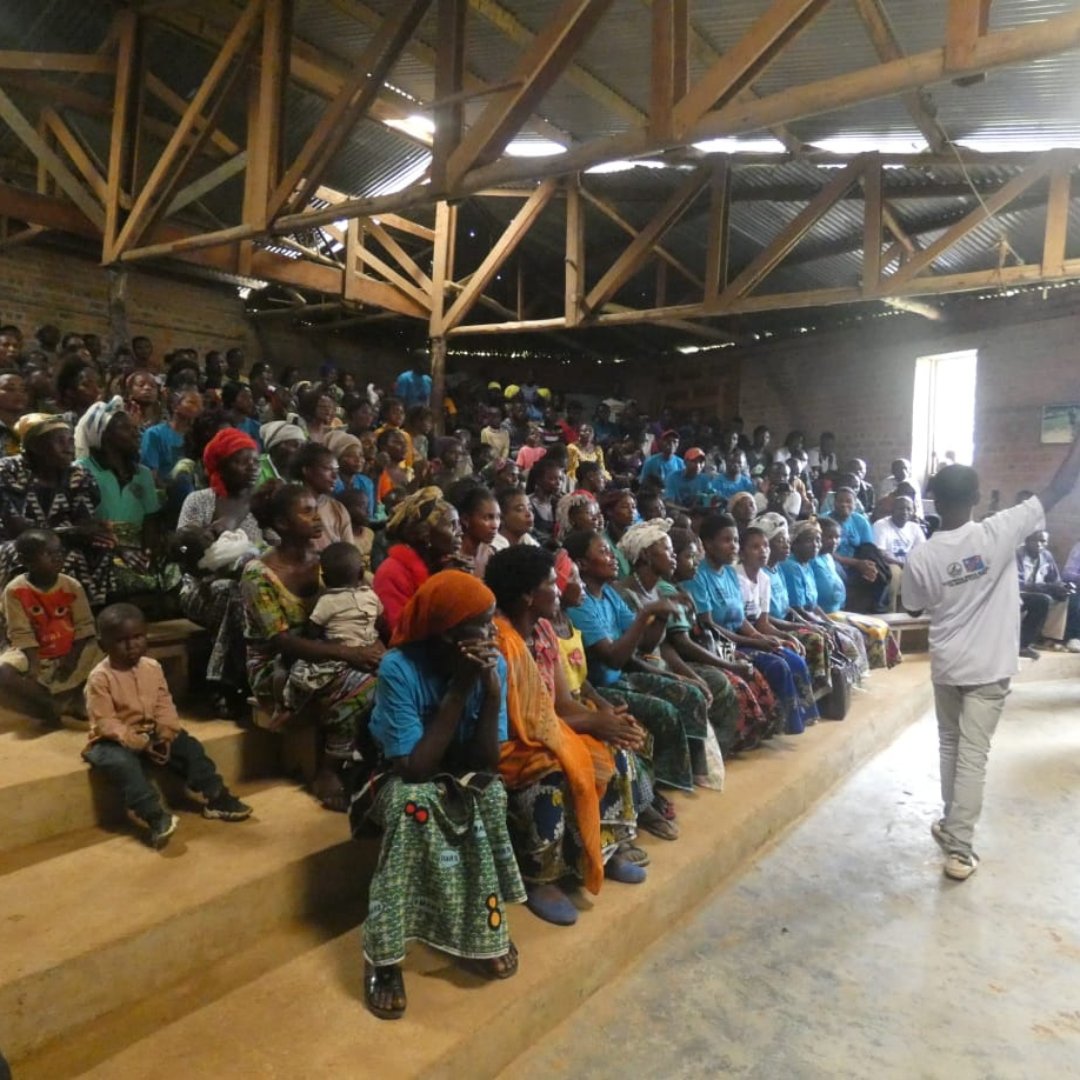 GRACE Gorillas tweet media