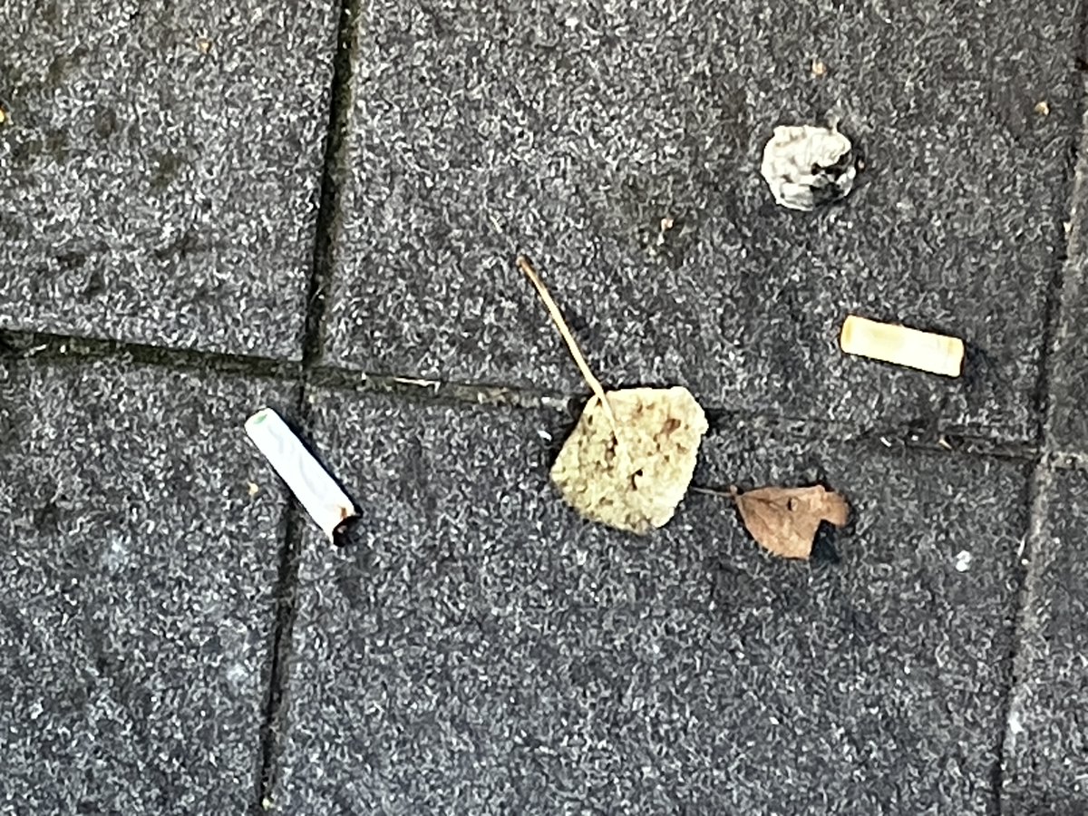 Semi-Professional Trouble Causer tweet media