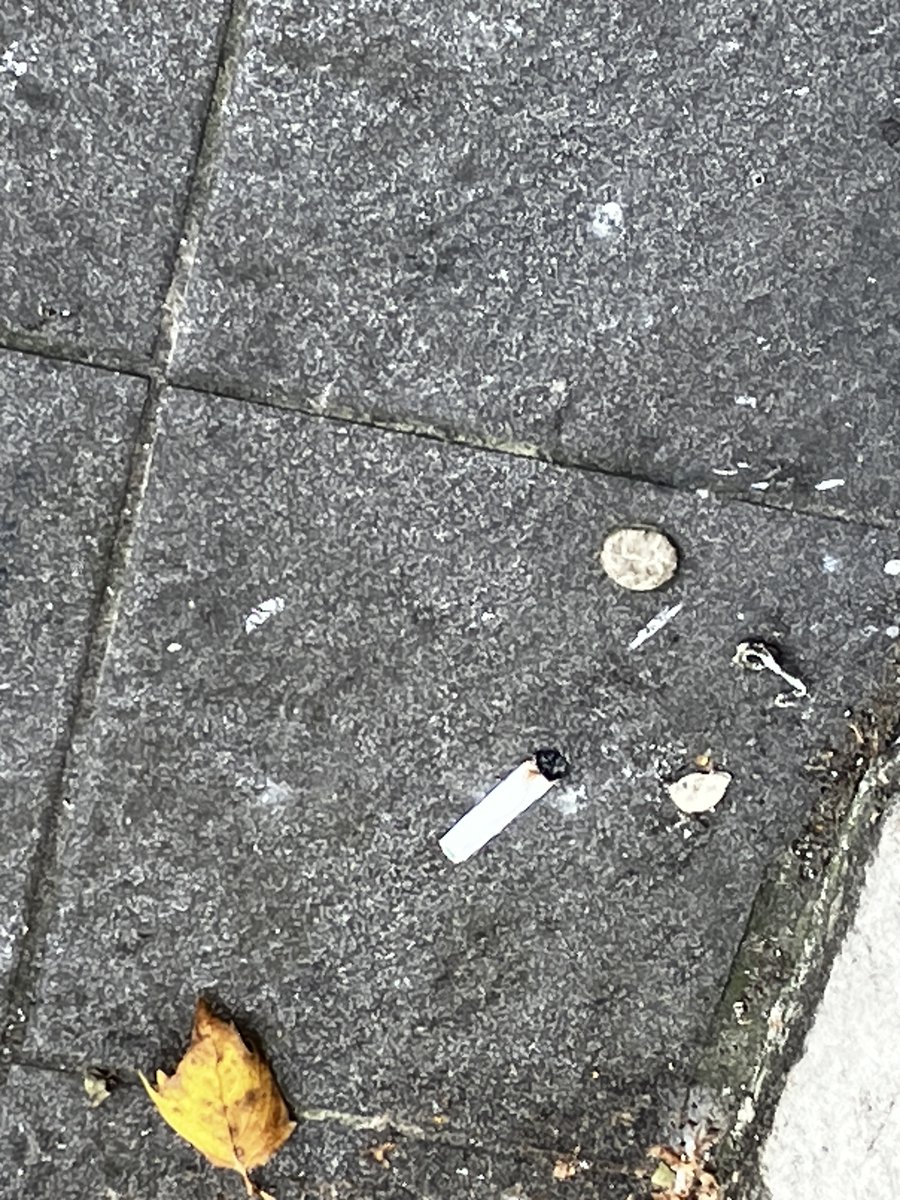 Semi-Professional Trouble Causer tweet media