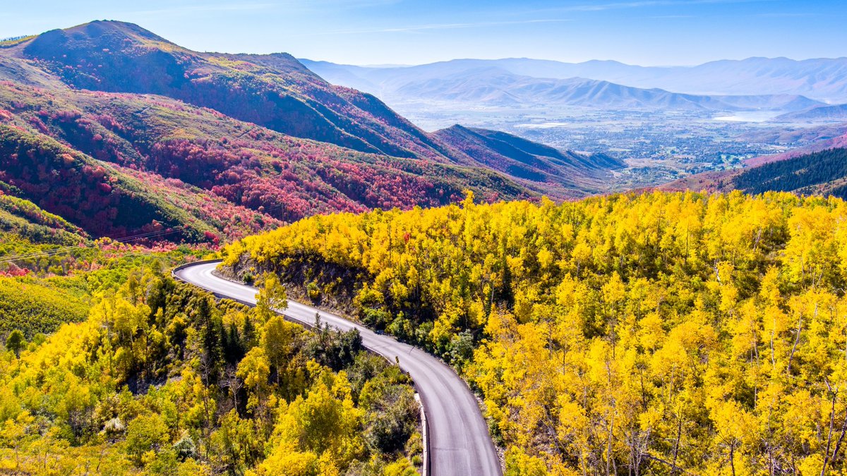 The aspens are really starting to change in Big Cottonwood Canyon and Guardsman Pass. #utwx 

[Courtesy: Chris Williams]