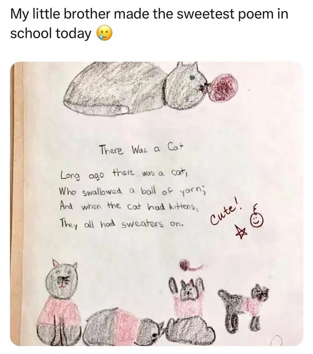 WholesomeMeme's tweet photo. https://t.co/G3dzQEZEQv