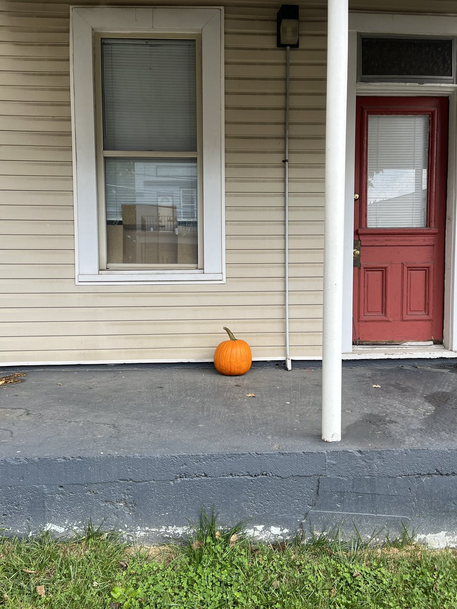 meladit3's tweet photo. you know what fuck you 
porch gourd https://t.co/UKvEr9S7BZ