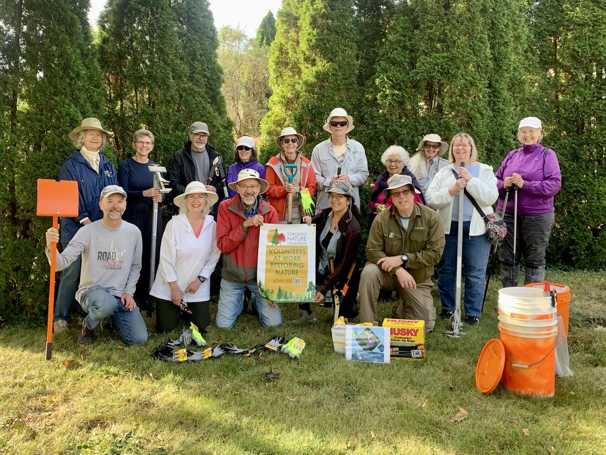 Shelley Carroll (@shelleycarroll) on Twitter photo Shoutout to #DonValleyNorth's own Newtonbrook <a href="/naturestewards/">Toronto Nature Stewards</a>, who have been hard at work removing invasive plants from our local ravines. 🌳💪
They're always looking for more folks to join the team. Find out how to get involved at torontonaturestewards.org/get-involved/b… Shoutout to #DonValleyNorth's own Newtonbrook <a href="/naturestewards/">Toronto Nature Stewards</a>, who have been hard at work removing invasive plants from our local ravines. 🌳💪
They're always looking for more folks to join the team. Find out how to get involved at torontonaturestewards.org/get-involved/b…
