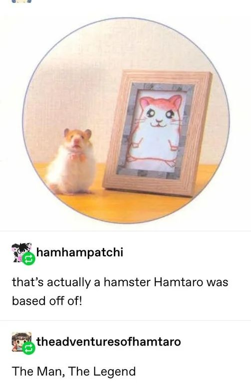 WholesomeMeme's tweet photo. https://t.co/zsZ2KyGS1B