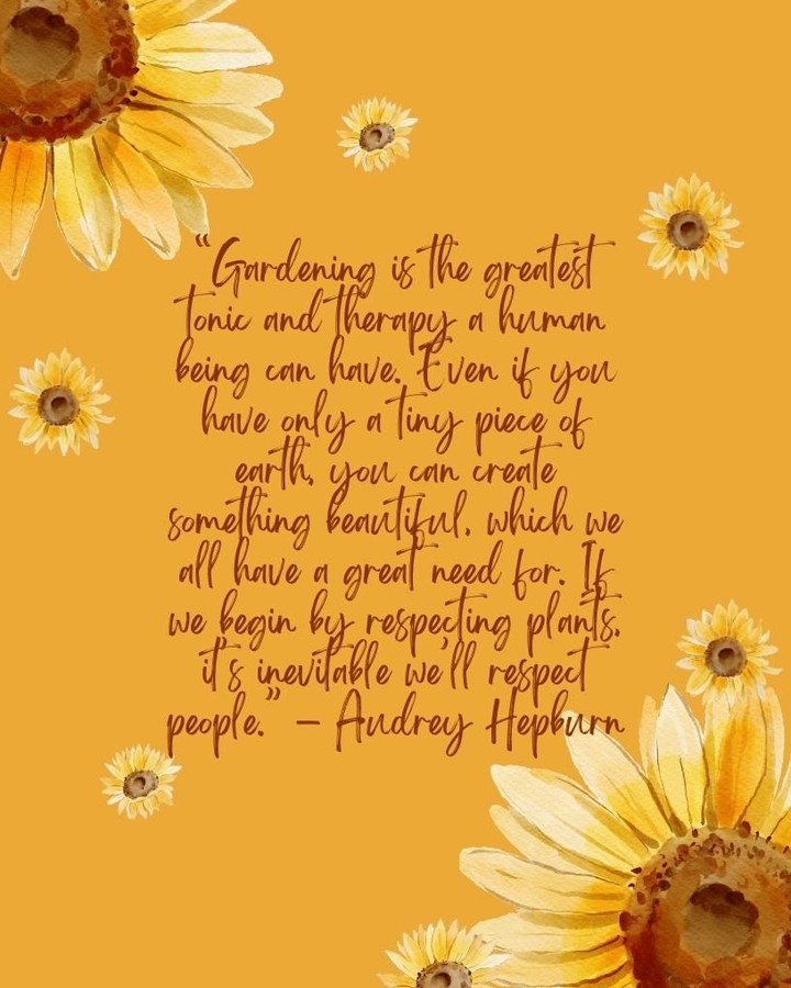 #traumahealing #traumacounselor #itsnotyourfault #thriveaftertrauma #resilience #counselingworks #cincinnaticounselor #kycounselor #selflove #selfcare #therapy #therapist #counselors #counselorsofinstagram #therapistsofinstagram #livinghealthy #livingmybestlife