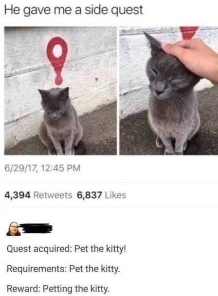 WholesomeMeme's tweet photo. https://t.co/Wi5JqOCtNe