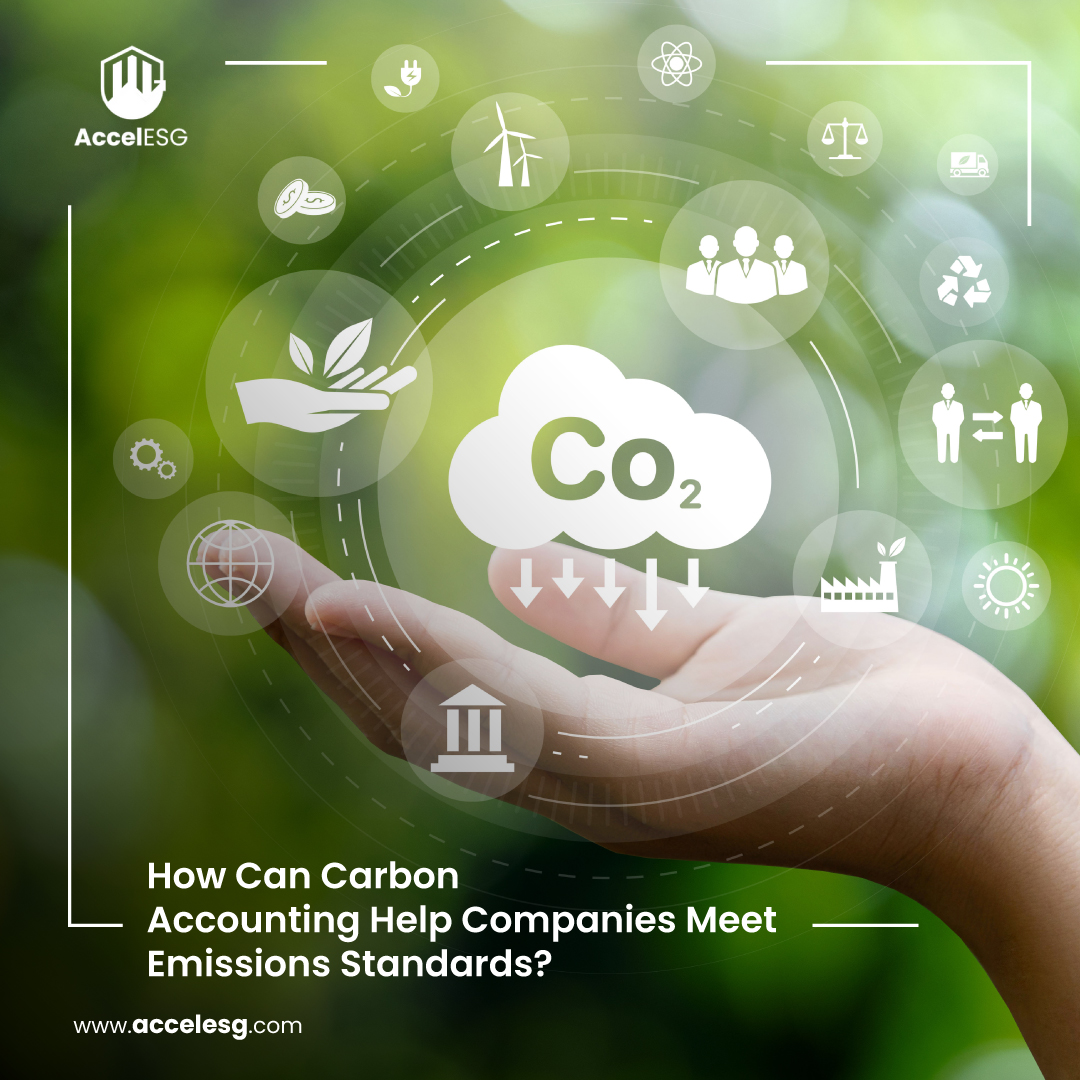 accel1horizons's tweet photo. Learn how businesses can make a positive impact on the environment while staying compliant.

Read the full article here: https://t.co/wov18i6oMg

#CarbonAccounting
#EmissionsStandards
#Sustainability
#GreenBusiness
#ESG
#AccelESG https://t.co/gxZRts3Na5
