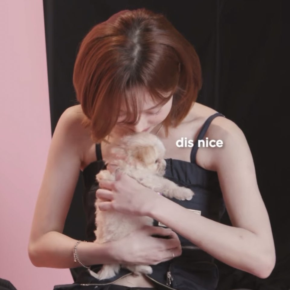 草 🌱 tweet media