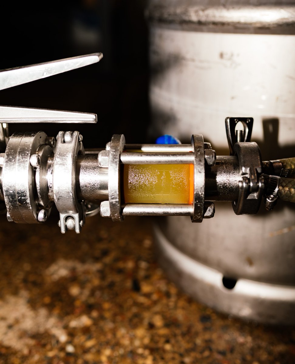 WildMindAles's tweet photo. Ideal Pils is everything you want in a classic pilsner - crisp, dry, and refreshingly bitter. It's the perfect beer to enjoy on a sunny day or to savor during a relaxing evening.

Come on down to our taproom for a pour or grab a 4-pack of this exceptional brew today! https://t.co/Ye5hVRteTi