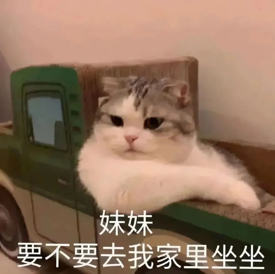 LiG0M30's tweet photo. 看看东莞玩这个的多不多 https://t.co/AxdE2XeKU7