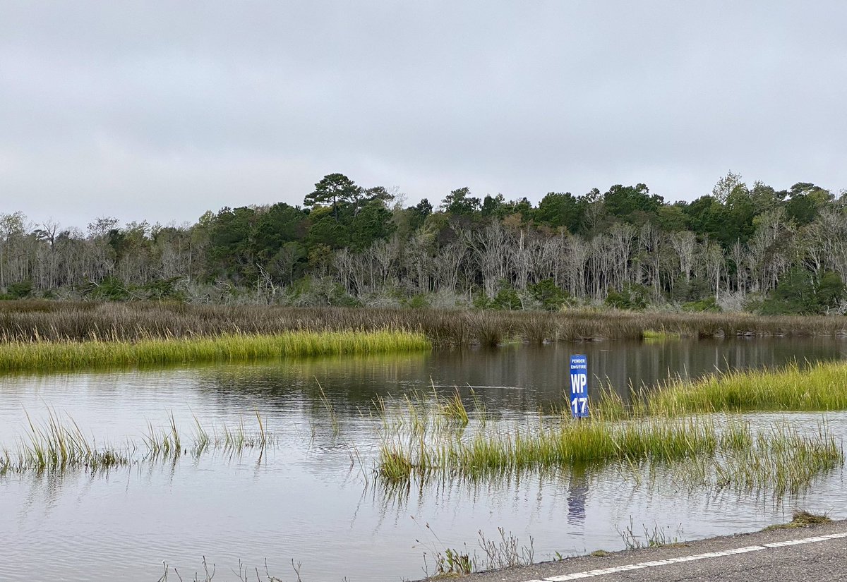 AdLibs4Hire's tweet photo. The King Tides were doing a number on Mullet Run, out by Sloop Point this morning.@NWSWilmingtonNC @medwick @TVsGabeRoss @EllaTanseyWECT @LeeHaywoodWX @helenholt123 @wralweather @mazewx66 @WRALAimee @katcampbellwx @BurgawWx @___nwahs___ #FullSound๐ฆ๐๐ฆ https://t.co/GtSayA6Hai