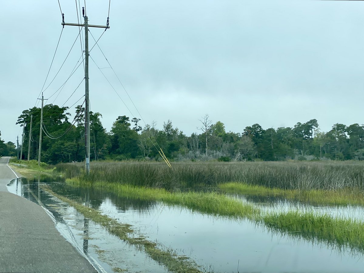 AdLibs4Hire's tweet photo. The King Tides were doing a number on Mullet Run, out by Sloop Point this morning.@NWSWilmingtonNC @medwick @TVsGabeRoss @EllaTanseyWECT @LeeHaywoodWX @helenholt123 @wralweather @mazewx66 @WRALAimee @katcampbellwx @BurgawWx @___nwahs___ #FullSound๐ฆ๐๐ฆ https://t.co/GtSayA6Hai