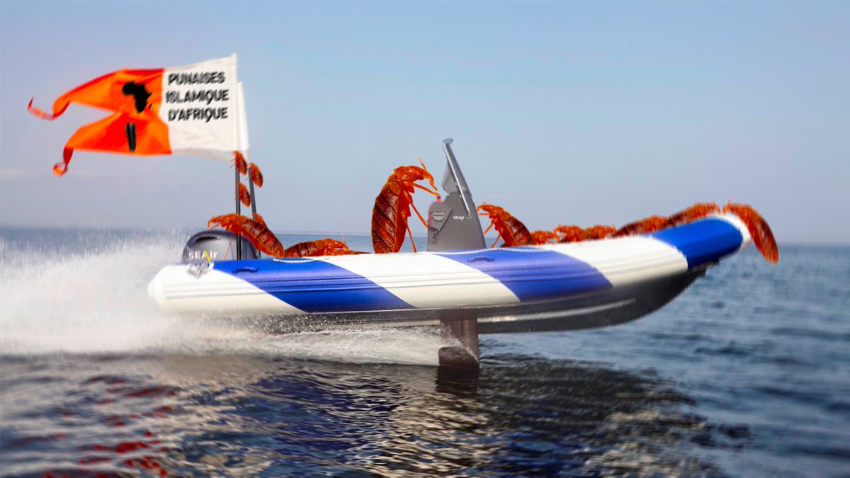 DephaseuR's tweet photo. Comment les punaises de lit sont arrivées en France selon CNEWS https://t.co/GmAfsuz8KT