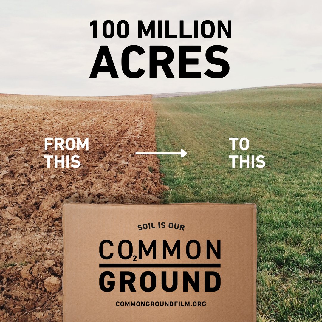 For #fridayfilmclub we're watching Common Ground (2023) and dreaming of concrete ways to fix our broken planetary systems. This new documentary explores how regenerative agriculture can help heal the planet.

Join the the movement &amp; catch a screening: linktr.ee/climatefilmfes…